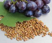 Grape-Seed Extract
