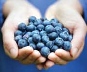 Blueberries