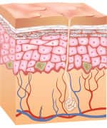 How Air Pollution Ages Your Skin