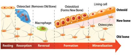 SIDEBAR IMAGE ALT TEXT