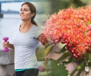 Fight Fatigue with Rhodiola