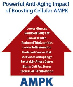 Anti-Aging Effects of AMPK