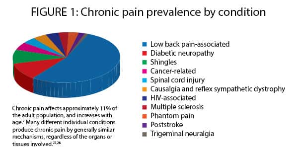 FIGURE 1: CHRONIC PAIN PREVALENCE BY CONDITION