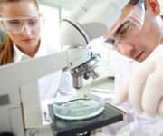 How AMPK Removes Cellular Debris and Reduces Abdominal Fat