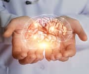 Curcumin Improves Critical Brain Connections