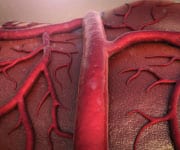 Smoking’s Deadly Inflammatory Consequences