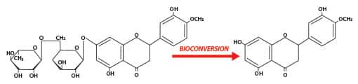 Measuring AMPK Activity of Hesperidin