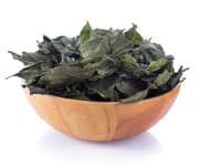 Gynostemma Pentaphyllum