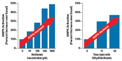 Some People Cannot Tolerate Metformin
