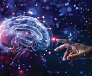 NAD+ Is a Neurotransmitter