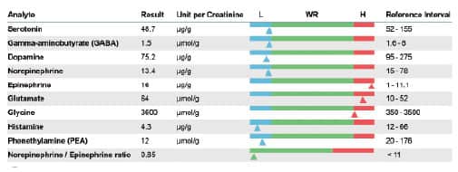 Neurotransmitter Panel—Measures 9 important neurotransmitters.
