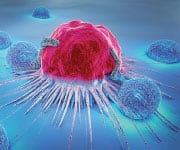 Lycopene Fights a Variety of Cancers