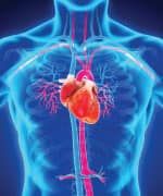 50% Decline in Cardiovascular Mortality