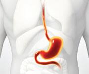 Zinc May Inhibit Esophageal Cancer Growth