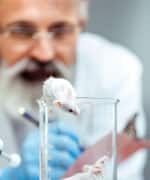 How PQQ Powers Better Brain Function