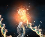 How the Sun Damages Skin