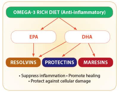 Omega-3 Rich Diet