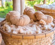 Fair Trade Textile Certification