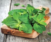 A Coffee Alternative for Mental Focus