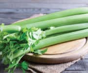 Molise Celery