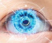 Lutein/Zeaxanthin as Cognitive Aids