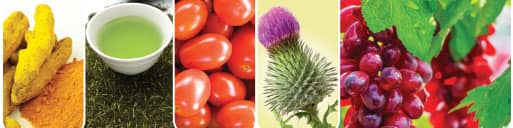 Dietary changes can help aging men avoid prostate cancer