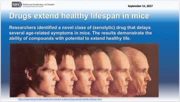 example of news headline on senolytic compounds