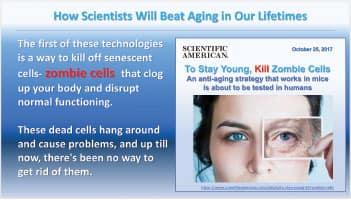 Intro to article about Practical Senolytic Approaches