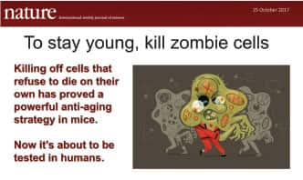 Image of article headline on purging senescent cells