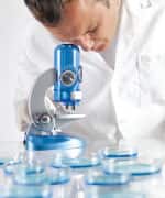 Scientist looking through microscope at petri dishes