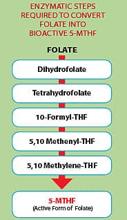 Foods considered as a part of the Mediteranian diet