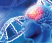 Reversal of Cognitive Decline in Human Alzheimer’s Patients