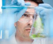 Foods considered as a part of the Mediteranian diet