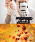 Scientist looking at cells in microscope