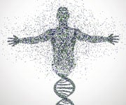 Shaded DNA strand becoming a human