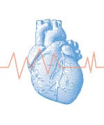 Image of a heart