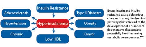 IMAGE DESCRIPTION HERE