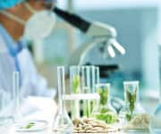 Scientist looking through a microscope