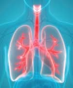 Image of lungs