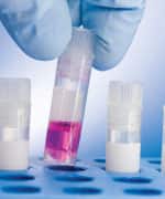 IMAGE DESCRIPTION HERE