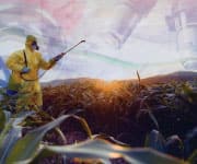 vegetables being sprayed with chemicals