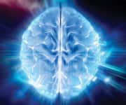 image of human brain