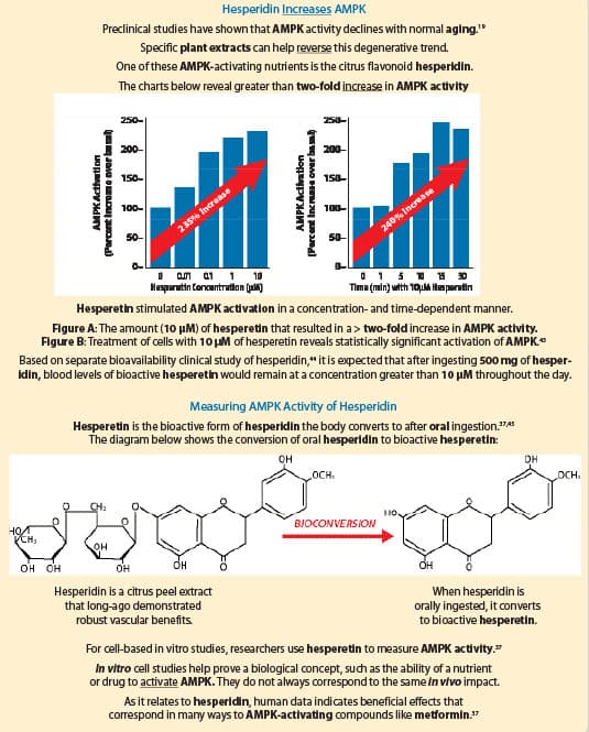 IMAGE DESCRIPTION HERE