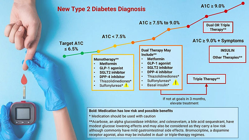 Glucose or fructose: a new study about the impact of sugar on metabolism  and cardiovascular health - Current events - University of Barcelona