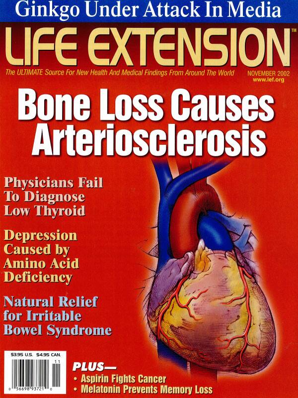 Magazine Cover November 2002