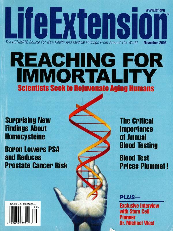 Magazine Cover November 2003