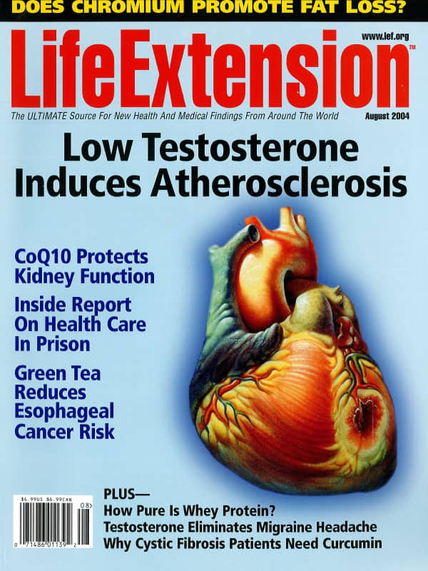 Magazine Cover August 2004