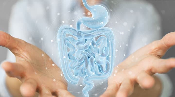 Digestive system being boosted through protein and fiber enzymes
