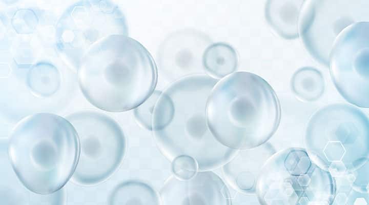 Cells expressing youthful qualities from a critical cellular enzyme