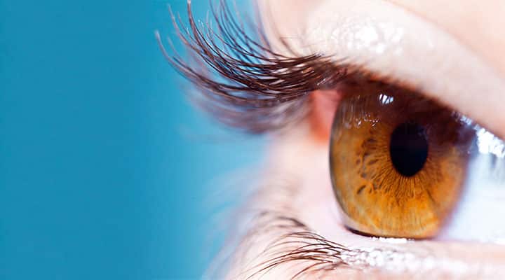 Brown eye free of cataracts and macular degeneration supported through berry extract